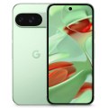 Google Pixel 9 Wintergreen