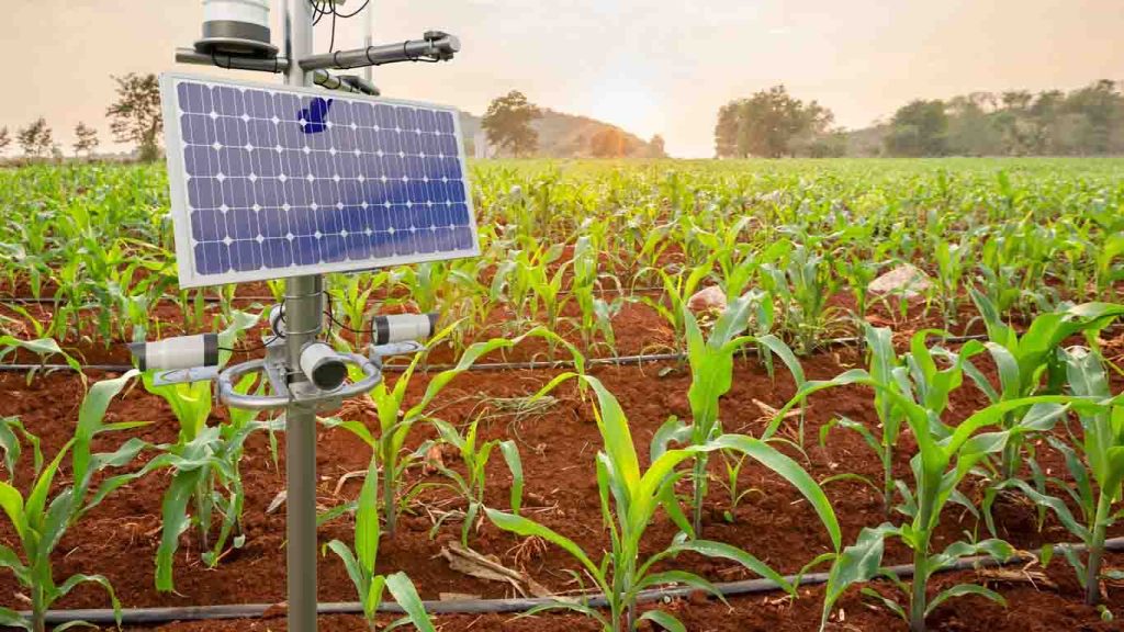How Smart Farming is Using IoT Devices in 2025 How Smart Farming is Using IoT Devices in 2025