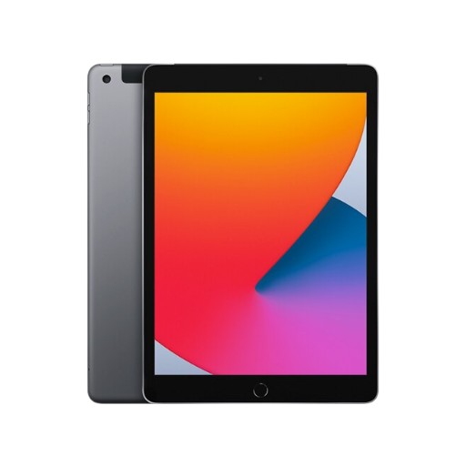 Apple iPad 10.2 (2020) Space Silver