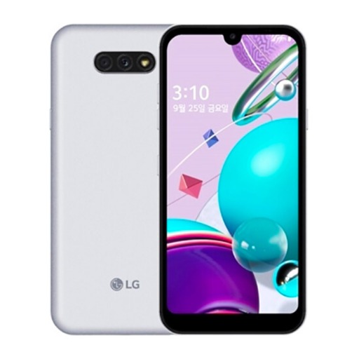 LG Q31