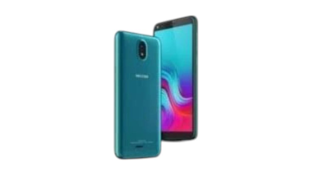 Walton Primo D10 Banner